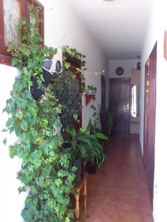 Apartment Leona Senj  Extérieur photo
