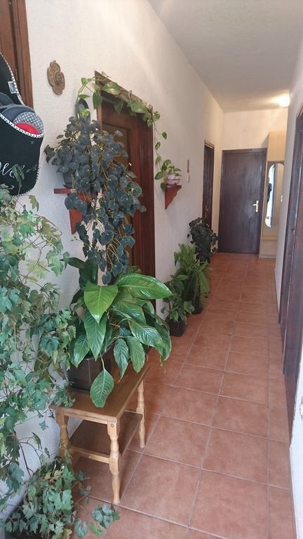 Apartment Leona Senj  Extérieur photo